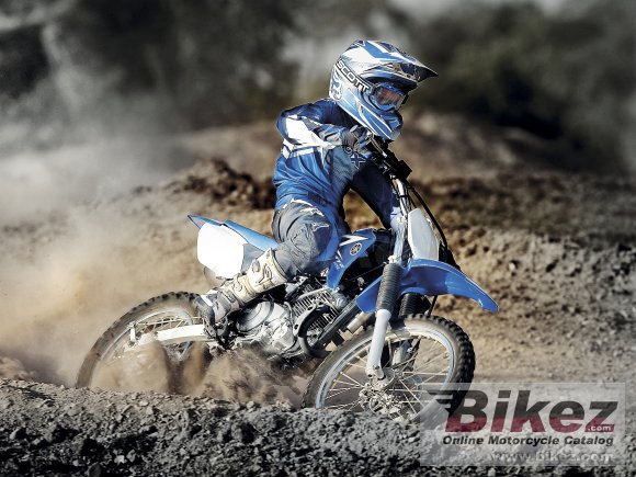 2011 Yamaha TT-R125LW E photo